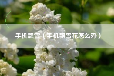 手机飘雪（手机飘雪花怎么办）