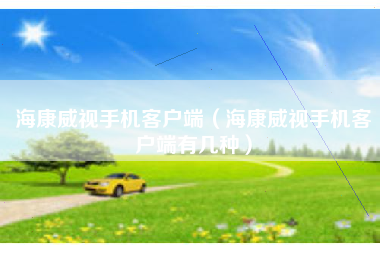 海康威视手机客户端（海康威视手机客户端有几种）