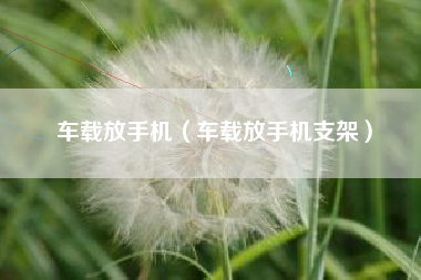 车载放手机（车载放手机支架）