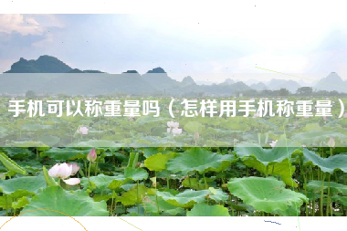 手机可以称重量吗（怎样用手机称重量）