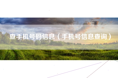 查手机号码信息（手机号信息查询）