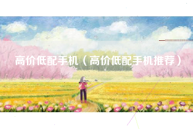 高价低配手机（高价低配手机推荐）