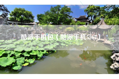 酷派手机包（酷派手机5267）