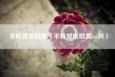 手机壁纸欧美（手机壁纸欧美ins风）