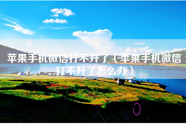 苹果手机微信打不开了（苹果手机微信打不开了怎么办）