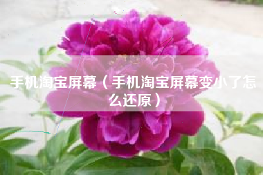 手机淘宝屏幕（手机淘宝屏幕变小了怎么还原）
