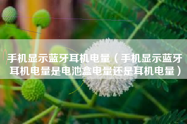 手机显示蓝牙耳机电量（手机显示蓝牙耳机电量是电池盒电量还是耳机电量）