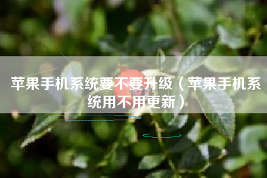 苹果手机系统要不要升级（苹果手机系统用不用更新）