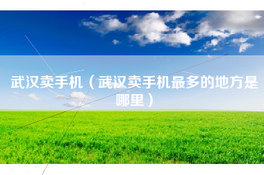 武汉卖手机（武汉卖手机最多的地方是哪里）