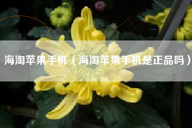 海淘苹果手机（海淘苹果手机是正品吗）