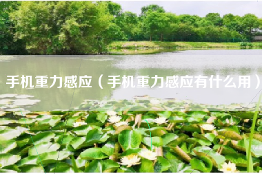 手机重力感应（手机重力感应有什么用）