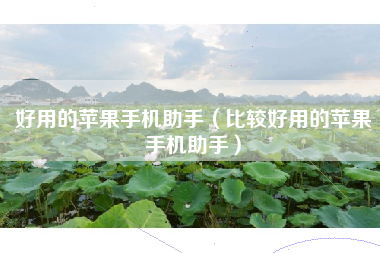 好用的苹果手机助手（比较好用的苹果手机助手）