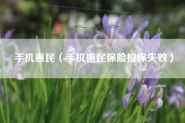 手机惠民（手机惠民保险投保失败）