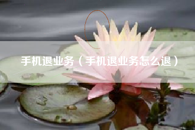 手机退业务（手机退业务怎么退）