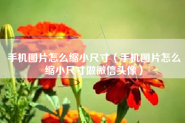 手机图片怎么缩小尺寸（手机图片怎么缩小尺寸做微信头像）
