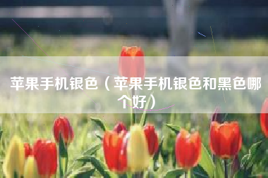 苹果手机银色（苹果手机银色和黑色哪个好）