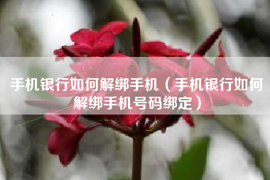 手机银行如何解绑手机（手机银行如何解绑手机号码绑定）