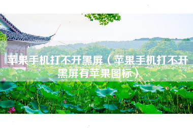 苹果手机打不开黑屏（苹果手机打不开黑屏有苹果图标）