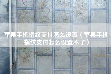 苹果手机指纹支付怎么设置（苹果手机指纹支付怎么设置不了）