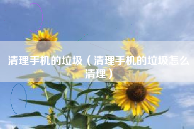 清理手机的垃圾（清理手机的垃圾怎么清理）
