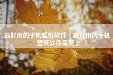 最好用的手机壁纸软件（最好用的手机壁纸软件免费）