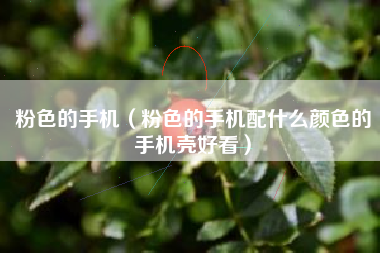 粉色的手机（粉色的手机配什么颜色的手机壳好看）
