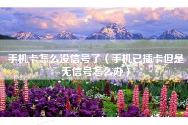 手机卡怎么没信号了（手机已插卡但是无信号怎么办）