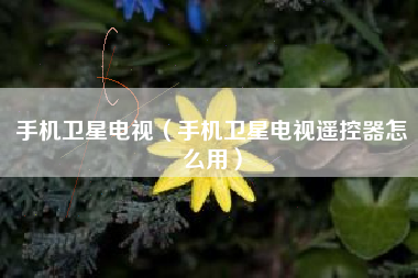手机卫星电视（手机卫星电视遥控器怎么用）