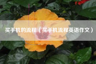 买手机的流程（买手机流程英语作文）