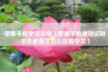 苹果手机使用说明（苹果手机使用说明书全是英文怎么设置中文）