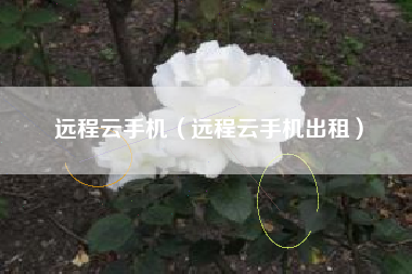 远程云手机（远程云手机出租）