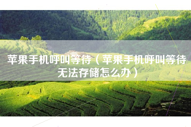 苹果手机呼叫等待（苹果手机呼叫等待无法存储怎么办）