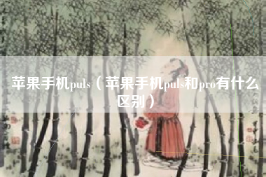 苹果手机puls（苹果手机puls和pro有什么区别）
