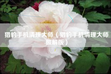 猎豹手机清理大师（猎豹手机清理大师破解版）