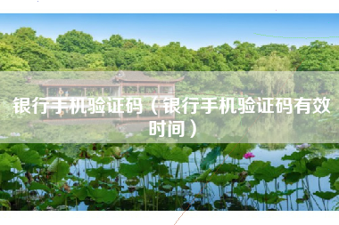 银行手机验证码（银行手机验证码有效时间）