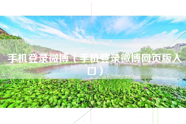 手机登录微博（手机登录微博网页版入口）