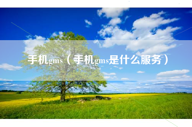 手机gms（手机gms是什么服务）