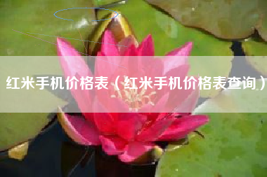 红米手机价格表（红米手机价格表查询）