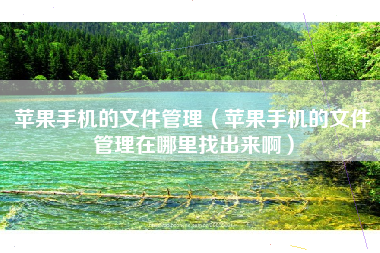 苹果手机的文件管理（苹果手机的文件管理在哪里找出来啊）