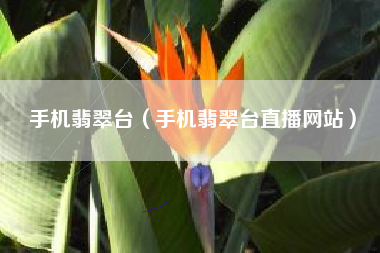 手机翡翠台（手机翡翠台直播网站）