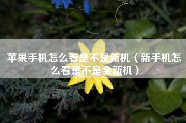 苹果手机怎么看是不是新机（新手机怎么看是不是全新机）