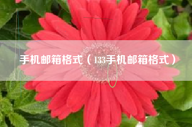 手机邮箱格式（133手机邮箱格式）