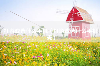打游戏选什么手机（打游戏选什么手机壳）