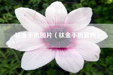 钛金手机图片（钛金手机官网）