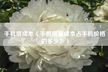 手机屏成本（手机屏幕成本占手机价格的多少？）