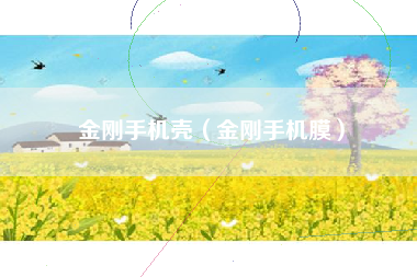 金刚手机壳（金刚手机膜）