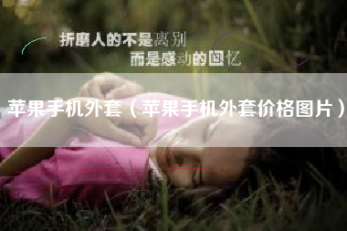 苹果手机外套（苹果手机外套价格图片）