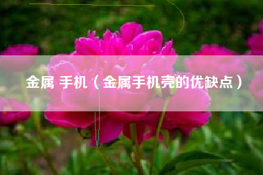 金属 手机（金属手机壳的优缺点）
