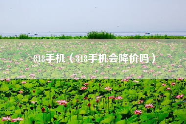 818手机（818手机会降价吗）