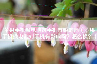 苹果手机换电池对手机有影响吗（苹果手机换电池对手机有影响吗？怎么换？）